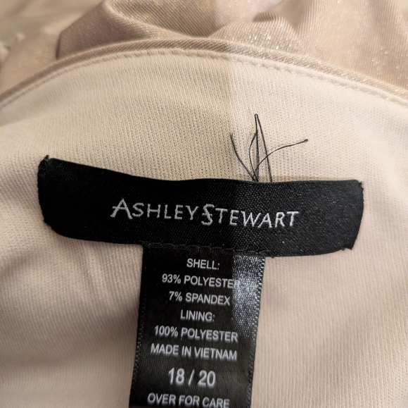 ashley Stuart Elegant Shimmering Beige Dress 18-20 Pre-owned - Picture 5 of 5